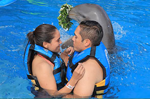 Novios abrazados con un delfín cargando una corona de flores