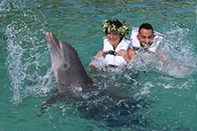 Delfín jugueteando frente a una pareja recién comprometida