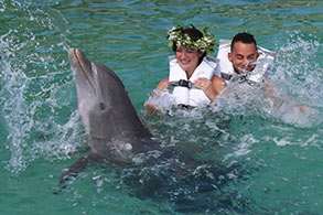 Pareja recién comprometida con un bello delfín en frente